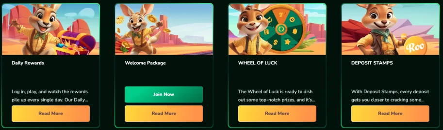 Different bonuses at ROO casino