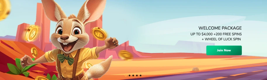 ROO Casino Welcome offer